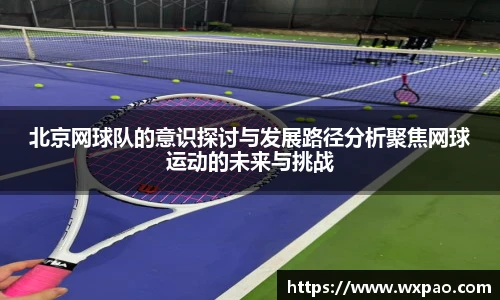北京网球队的意识探讨与发展路径分析聚焦网球运动的未来与挑战