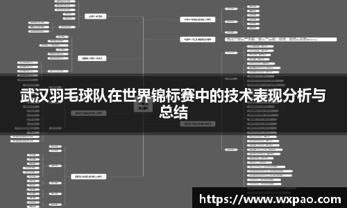 武汉羽毛球队在世界锦标赛中的技术表现分析与总结